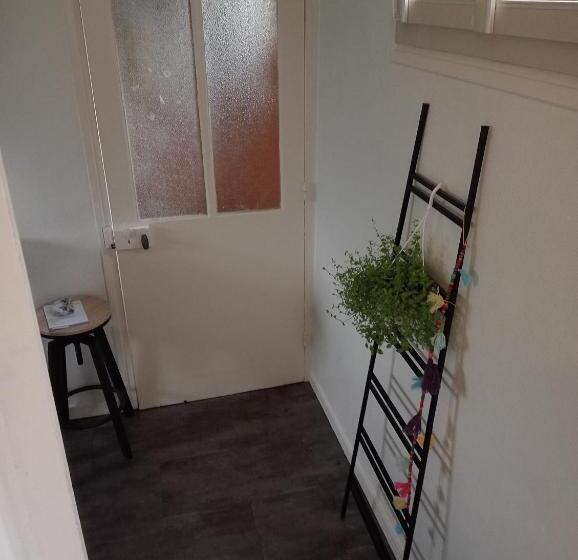 پانسیون Studio Marie