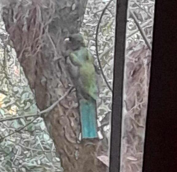 پانسیون Villa Elena Un Refugio En El Bosque