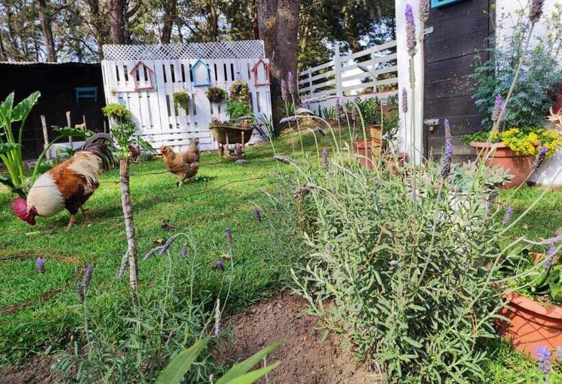 پانسیون Villa Elena Un Refugio En El Bosque