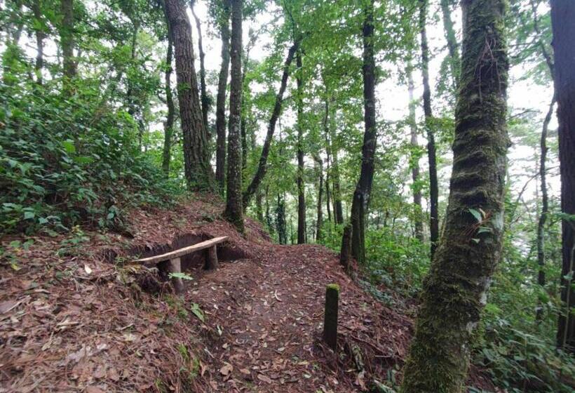 پانسیون Villa Elena Un Refugio En El Bosque
