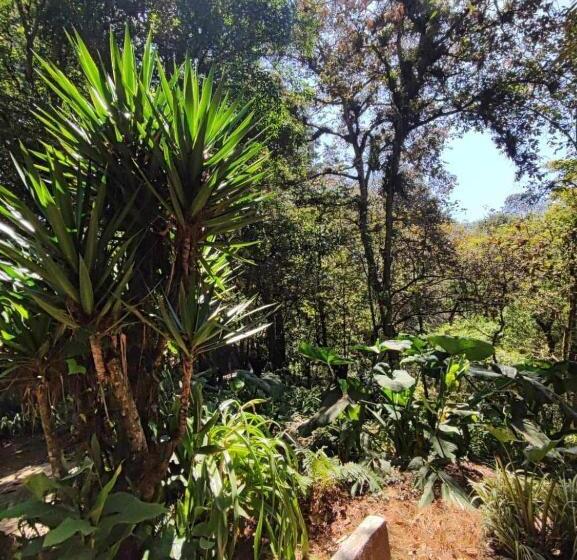 پانسیون Villa Elena Un Refugio En El Bosque