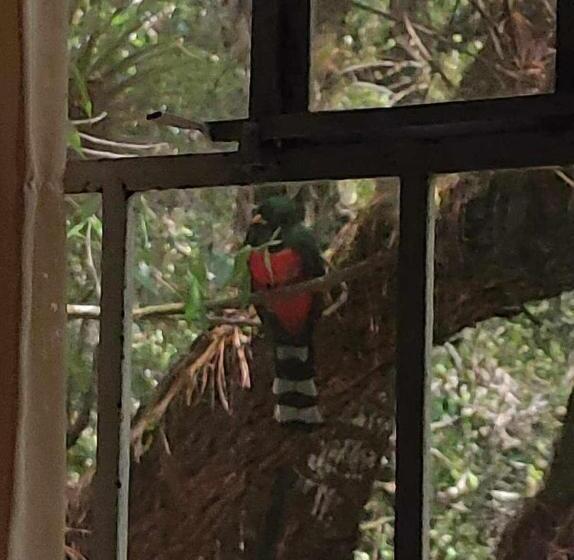 پانسیون Villa Elena Un Refugio En El Bosque