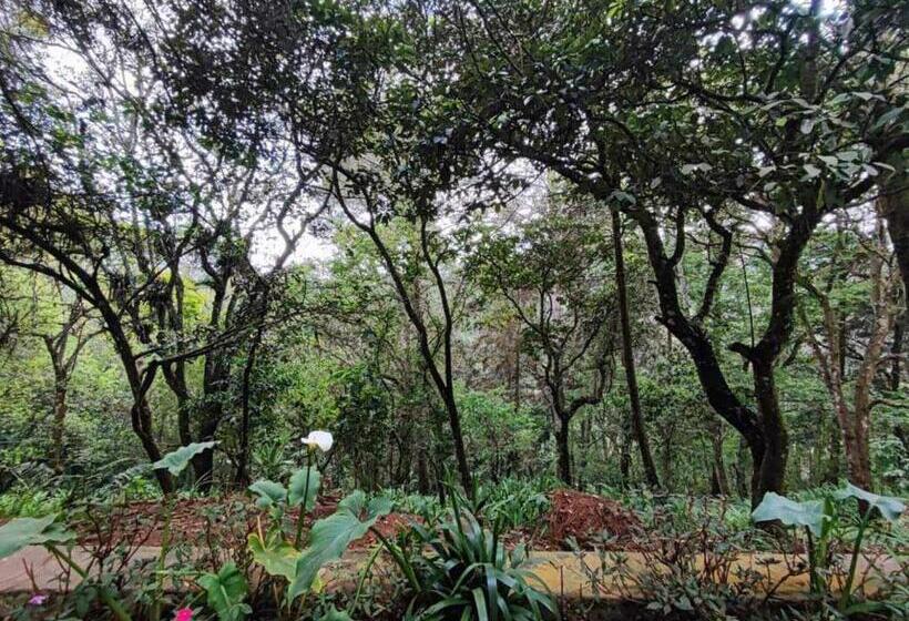 پانسیون Villa Elena Un Refugio En El Bosque