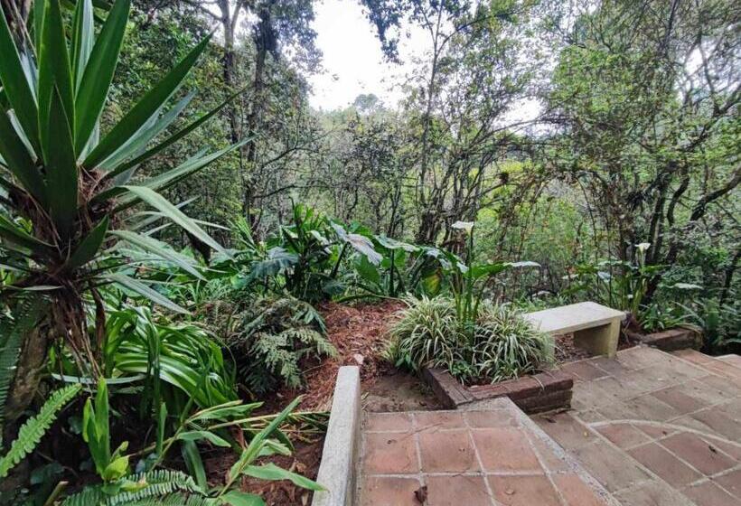 پانسیون Villa Elena Un Refugio En El Bosque