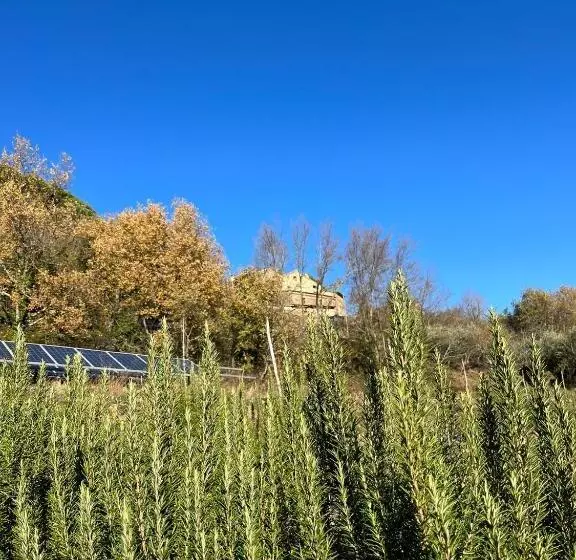 Bio Agriturismo Alba Etrusca Di Cortona   Organic Farmhouse  Appartamento Lavanda Appartamento Rosma