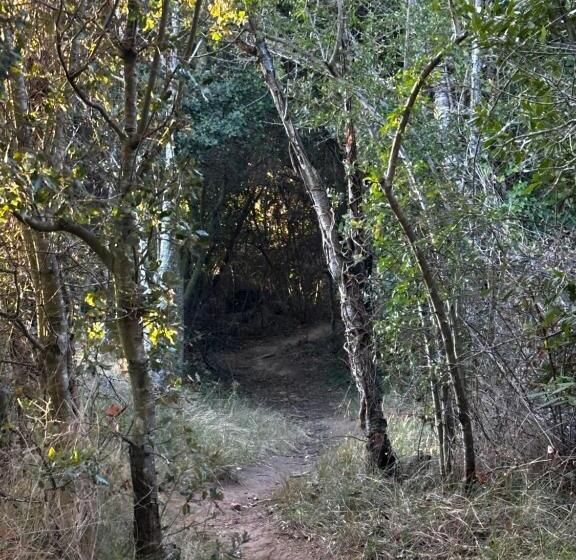 민박 Oasis Des Corbières