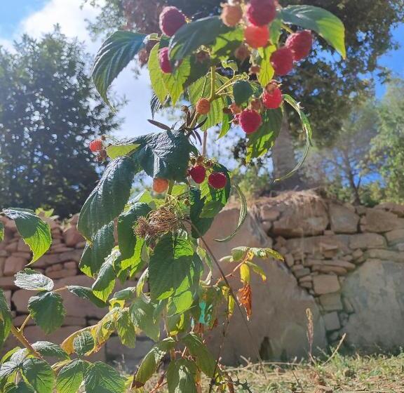 酒店 Agriturismo Scialà