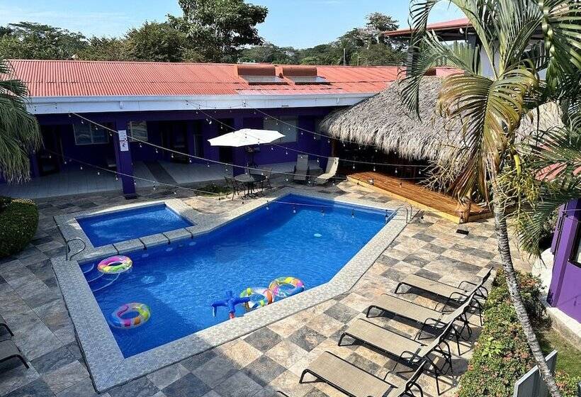 فندق Tropical Paradise