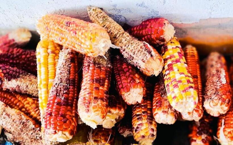 Hotel Vonfidel Ranch