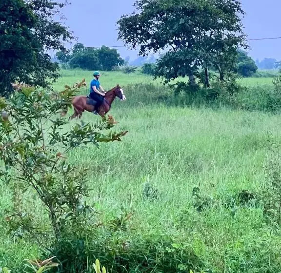 ホテル Vonfidel Ranch