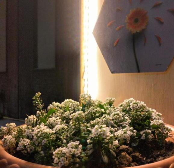 هتل Yatri Niwas Kidwainagar