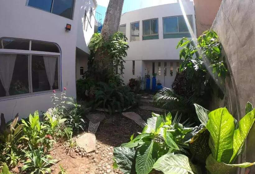 ペンション Casa Arbol De Paz Habitación Doble