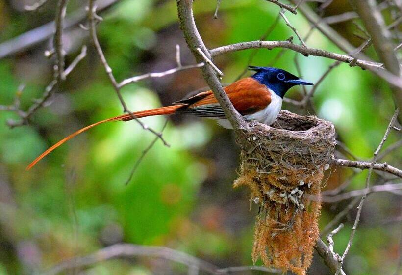 Majatalo Shiringul Guesthouse In Nuratau Mountain
