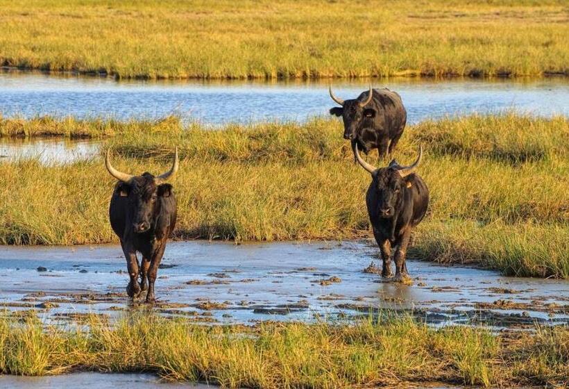 تختخواب و صبحانه Aux Portes De La Camargue