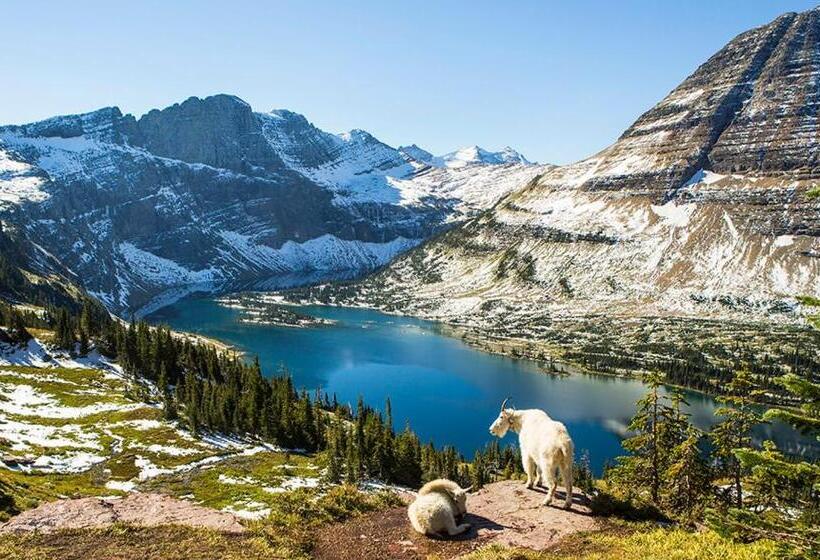 مبيت وإفطار Grand Glacier