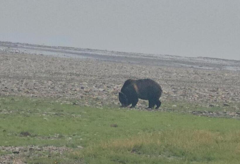 مبيت وإفطار Grand Glacier