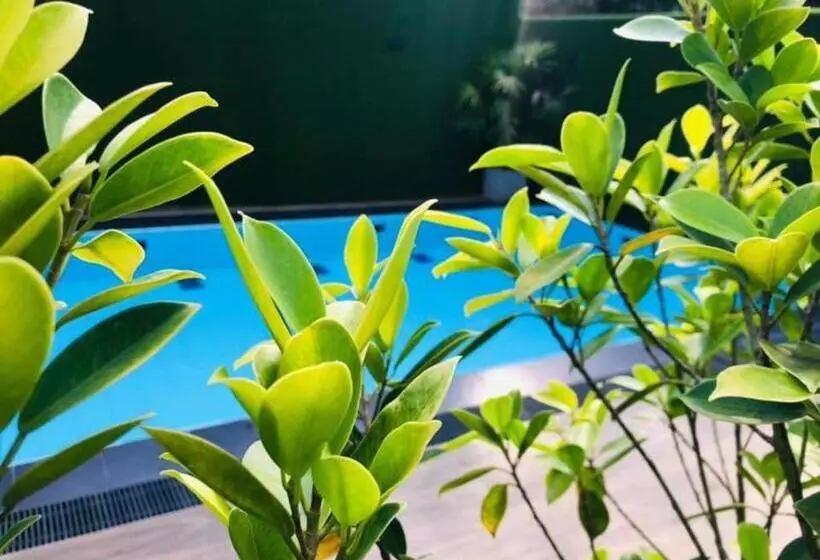 Aamiaismajoitus (B&B) Tharumini Villa