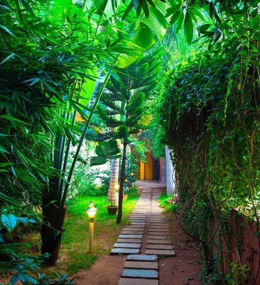 Paradise Auro Resort