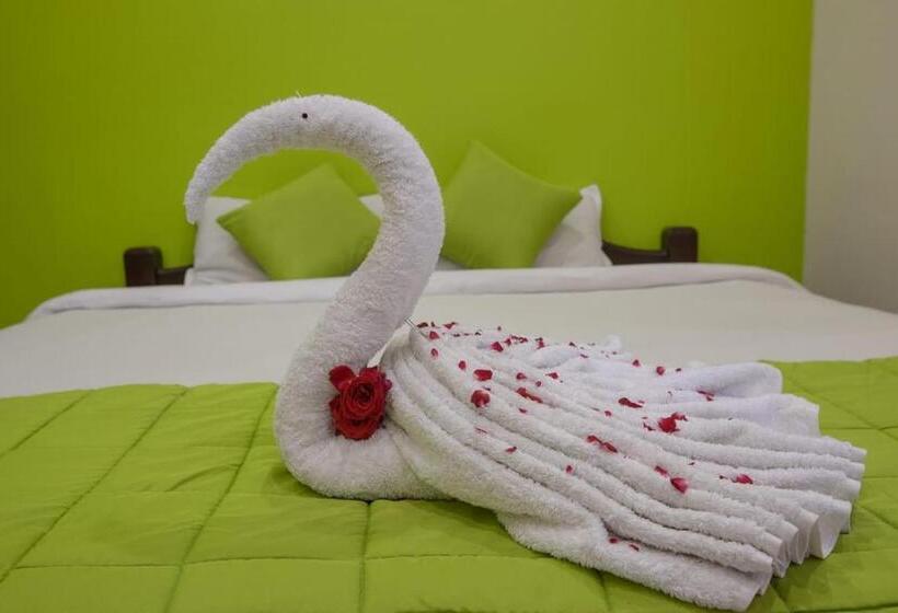 Paradise Auro Resort