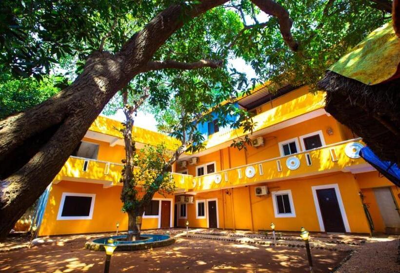 Paradise Auro Resort