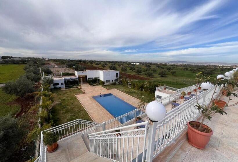 Pensión Billionaire