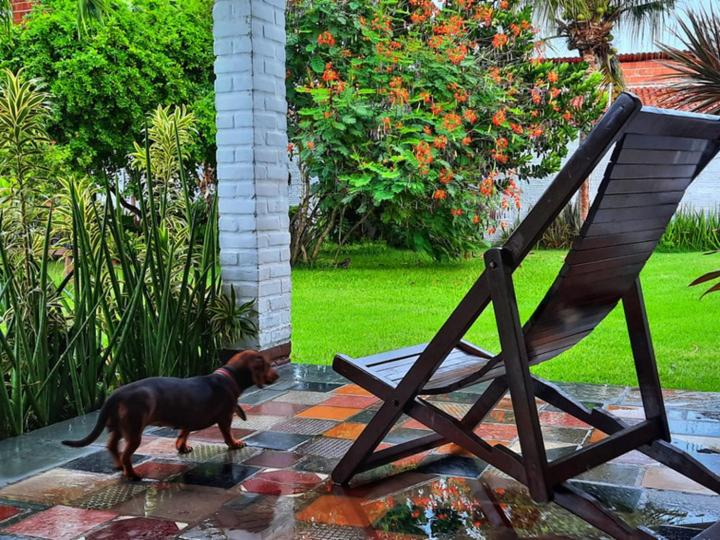 بنسيون Eusebiocity