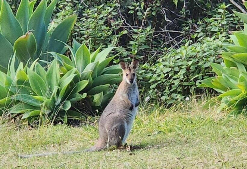 ペンション Self Contained Guesthouse For 7ppl, W Pool