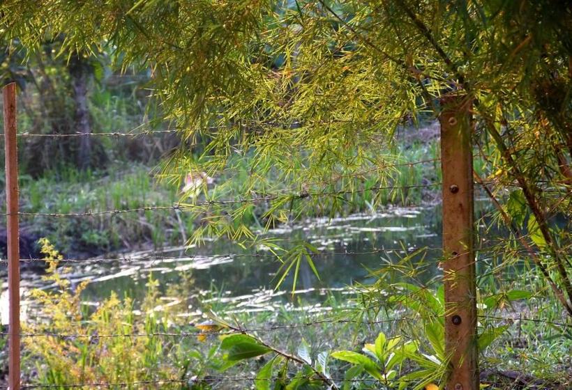 ペンション Villa Weligama Gedara