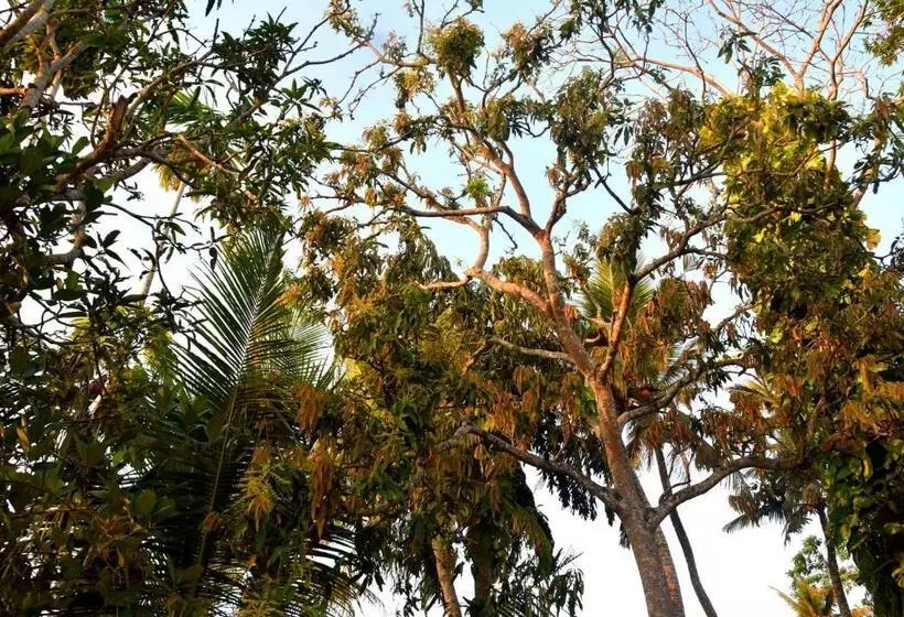 Majatalo Villa Weligama Gedara