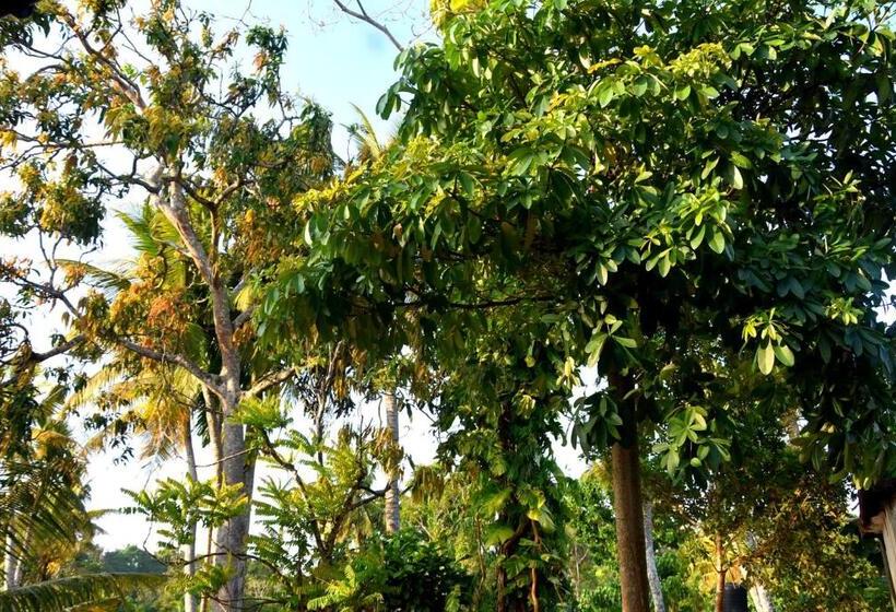 ペンション Villa Weligama Gedara