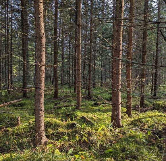 Värdshuset & Brukshotellet I Lövstabruk