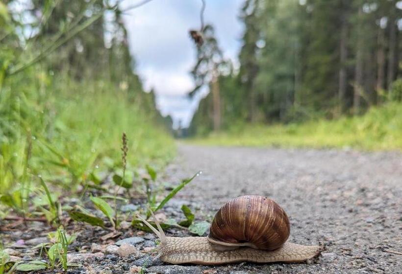 Värdshuset & Brukshotellet I Lövstabruk