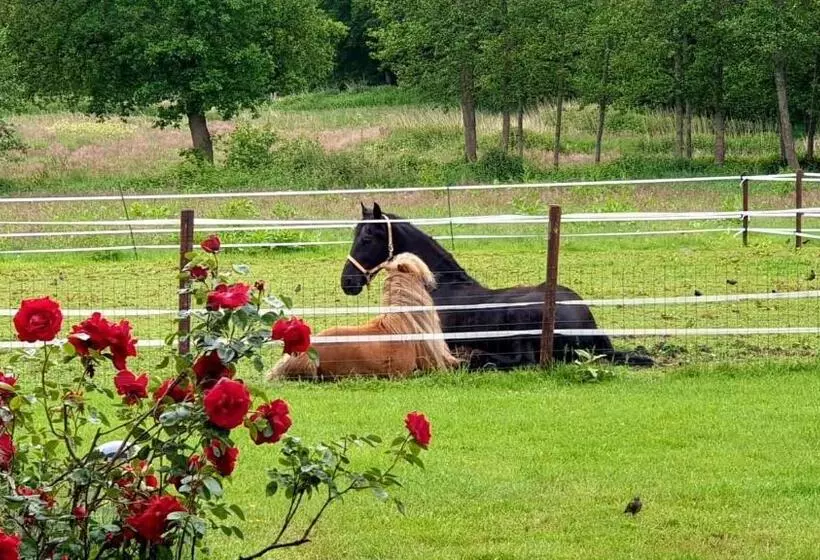 B&b Kuiper In Friesland