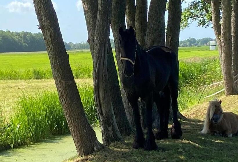 B&b Kuiper In Friesland