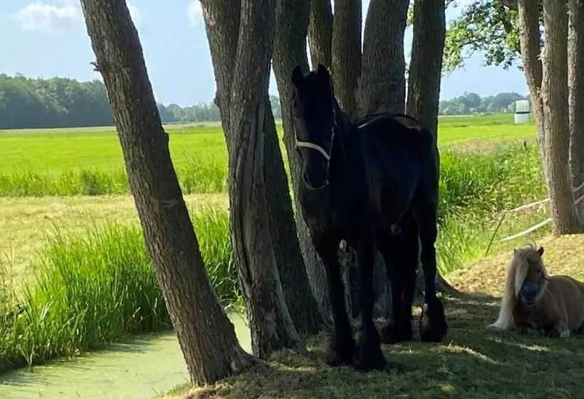B&b Kuiper In Friesland