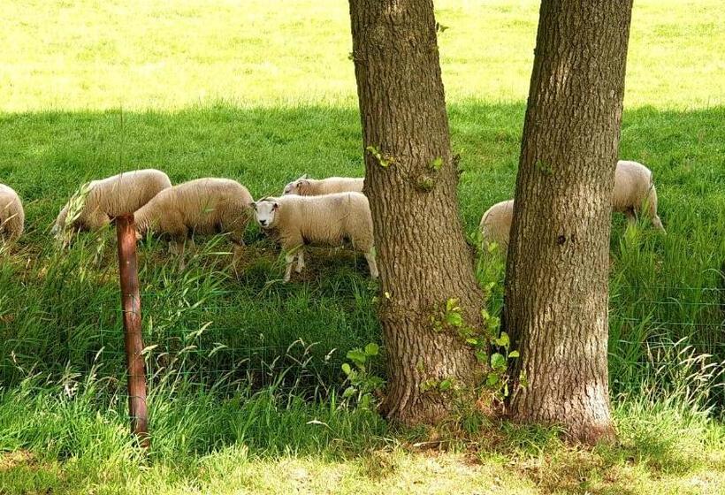 B&b Kuiper In Friesland