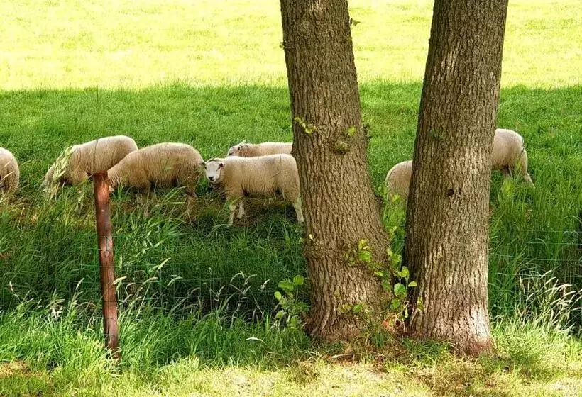 B&b Kuiper In Friesland