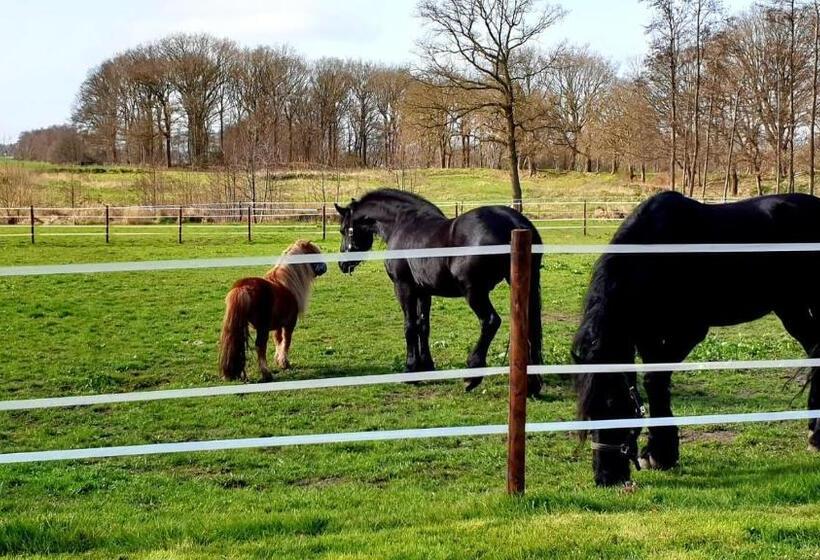 B&b Kuiper In Friesland