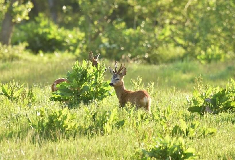 B&b Kuiper In Friesland