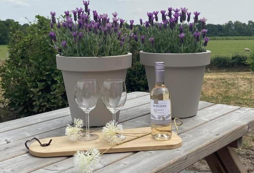 B&b Kuiper In Friesland