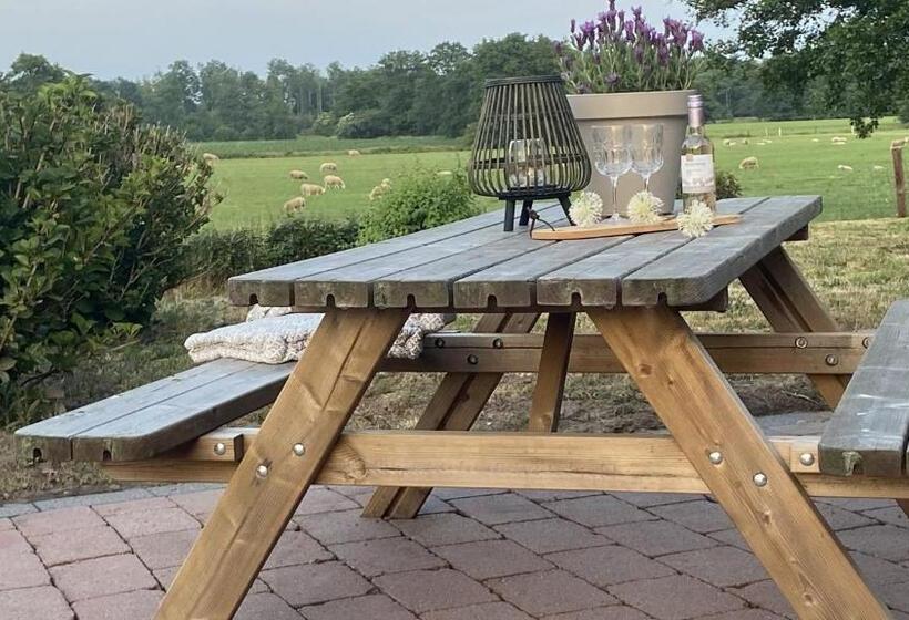 B&b Kuiper In Friesland