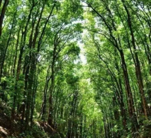 Aamiaismajoitus (B&B) Affordable Bedspacer Good For 8 With Breakfast