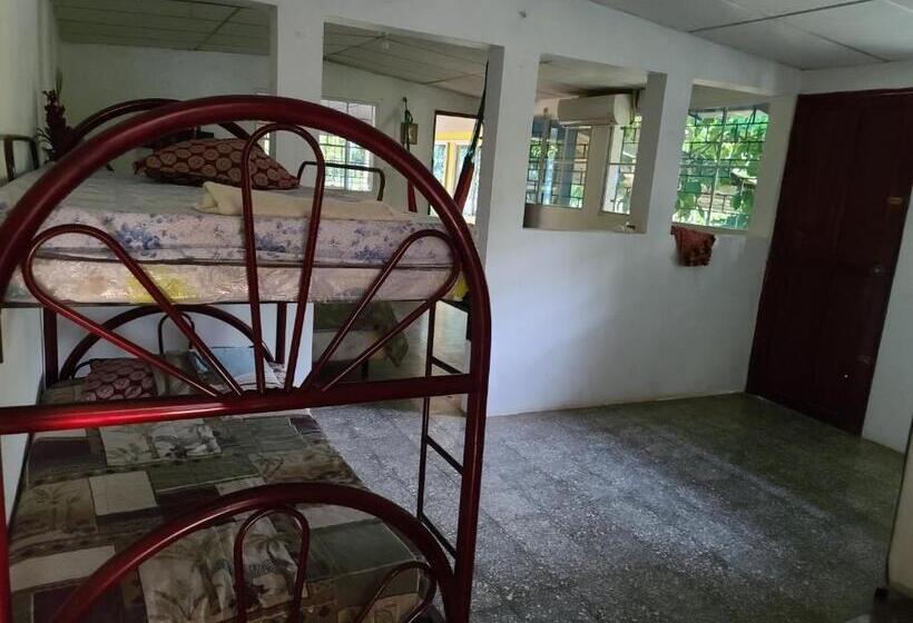 هتل Alicia S Healing And Relaxing House