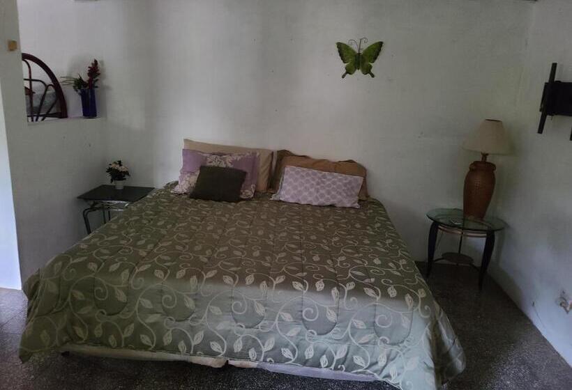 هتل Alicia S Healing And Relaxing House