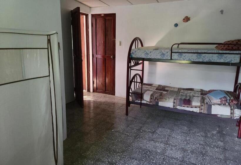 هتل Alicia S Healing And Relaxing House