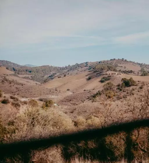 Hotelli Hostal Restaurant Mussons Vins