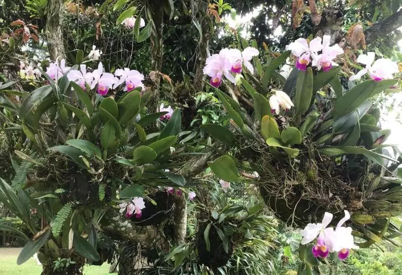 ホテル Finca El Rincón De Los Ocobos