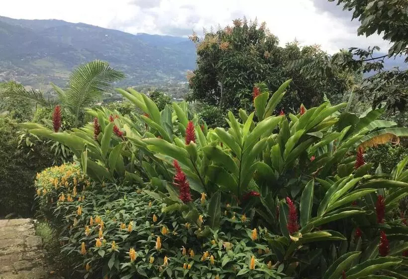ホテル Finca El Rincón De Los Ocobos