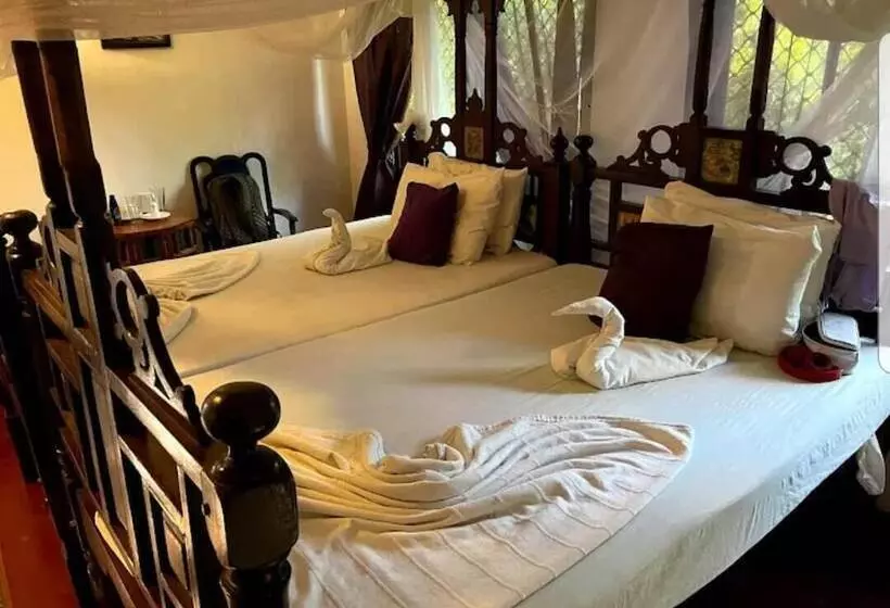 Hotelli The Rock Ocean View