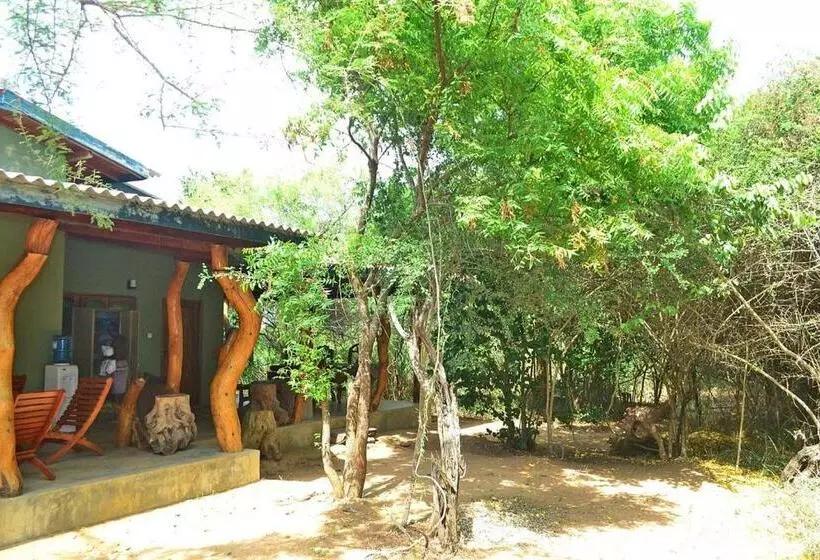 ホテル Thimbiriwewa Eco Resort Wilpattu